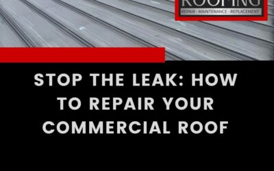 Stop the Leak: How to Repair Your Commercial Roof