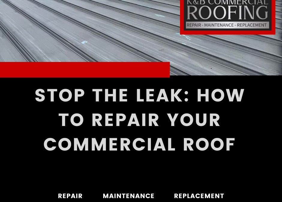 Stop the Leak: How to Repair Your Commercial Roof